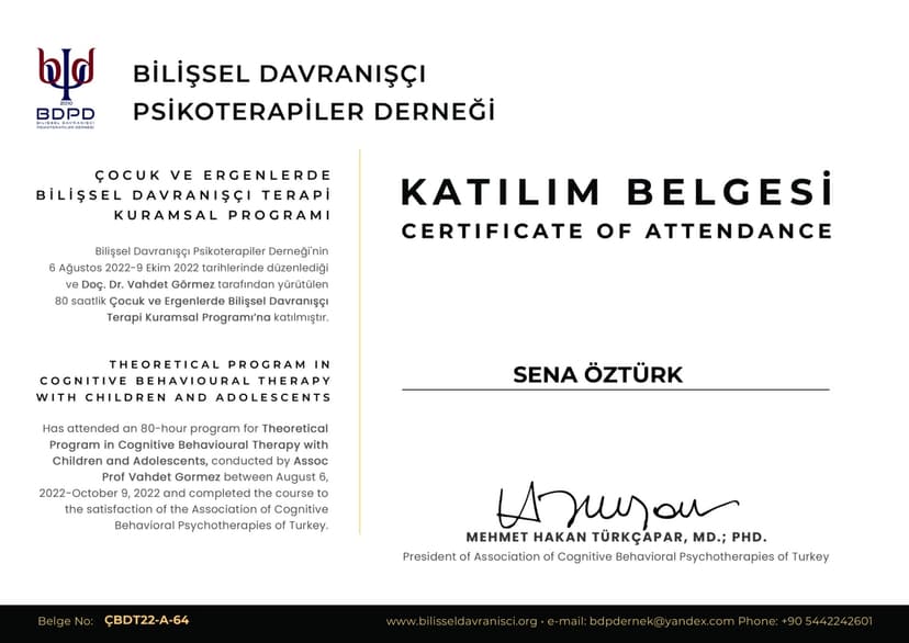 Çocuk Ergen BDT Eğitimi