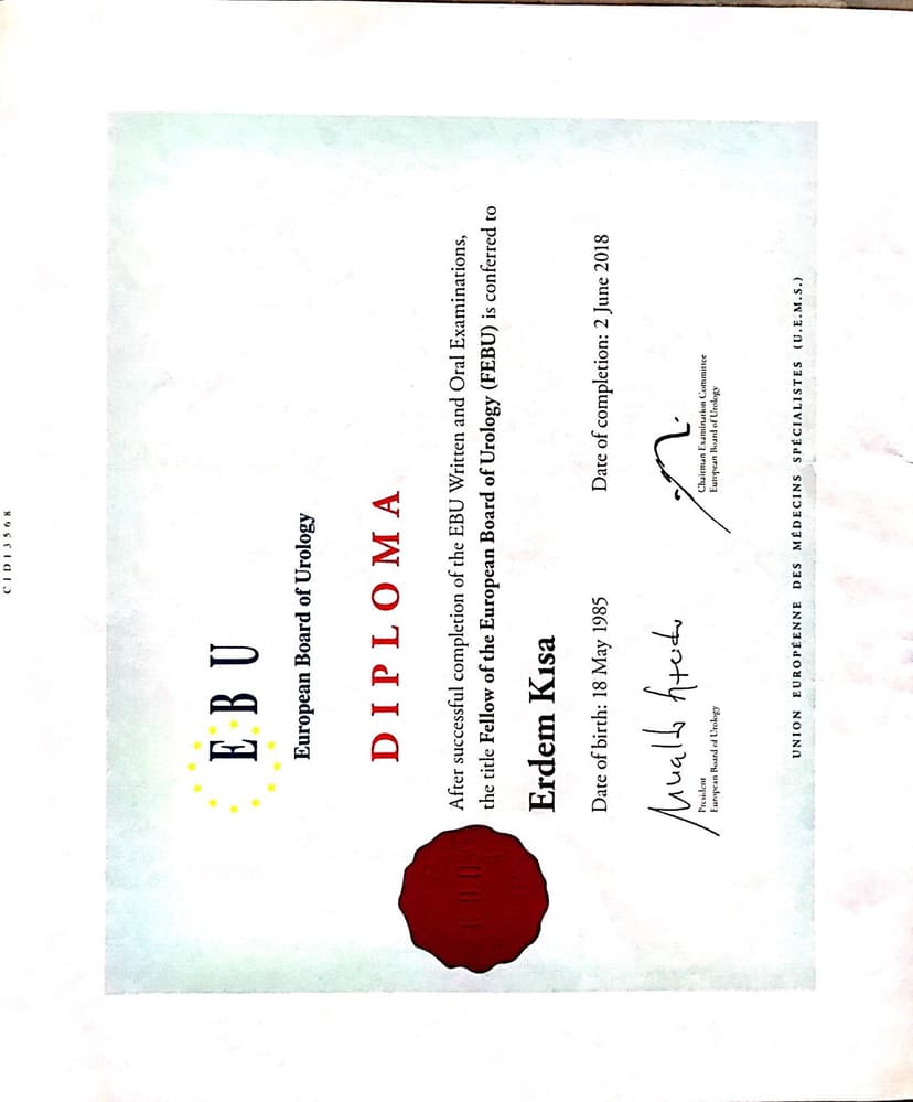 European Board of Urology