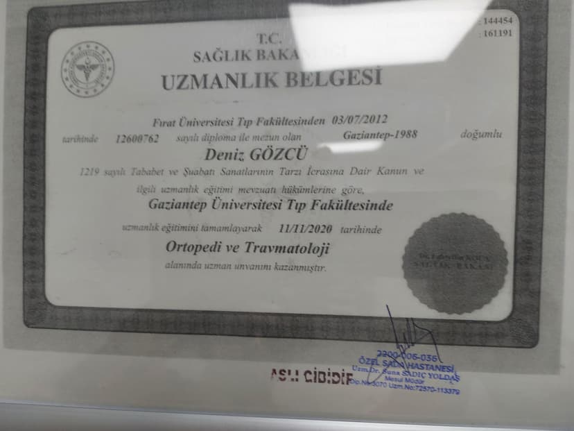diploma