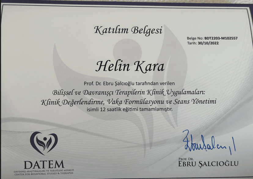 Klinik Değerlendirme, Vaka Formülasyonu ve Seans Yönetimi