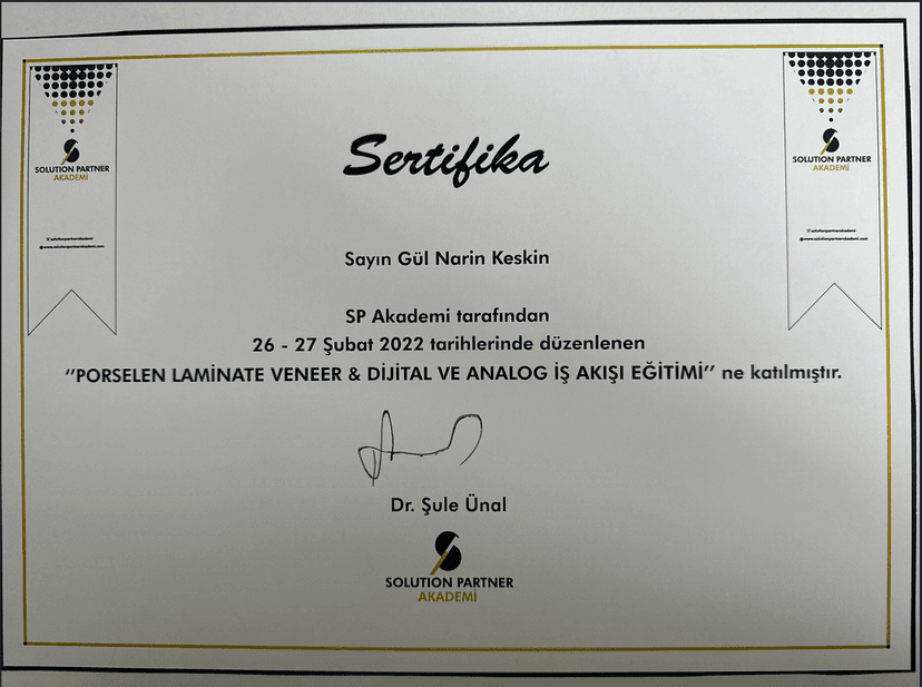 porselen laminate veneer