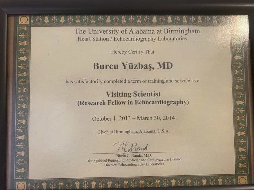 The universty of alabama