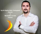 Kaplan Baha Temizgönül