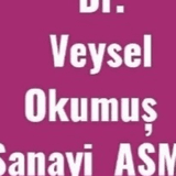 Veysel Okumuş