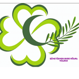 Ayşe Hilal Yıldız