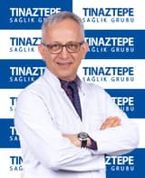 Erdal Aktan