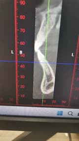 Katibe Tuğçe Temur