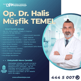 Halis Müşfik Temel