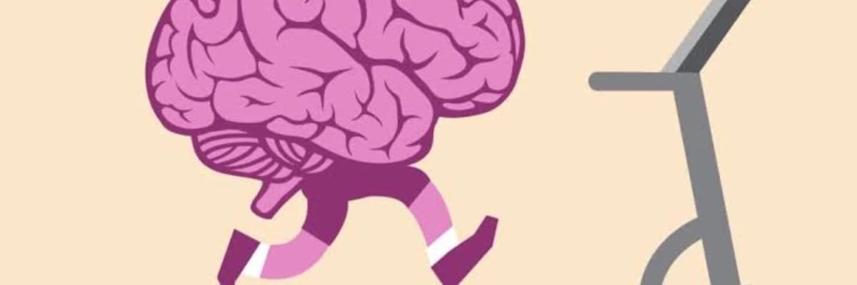 Konfor Alanı ve Beyin Nöroplastisitesi