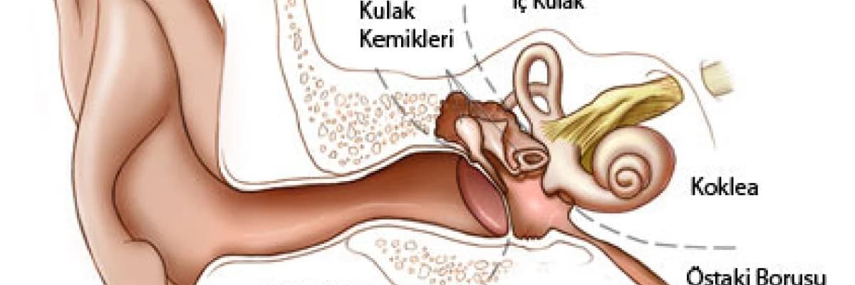 Östaki tüp disfonksiyonu ve uçuş