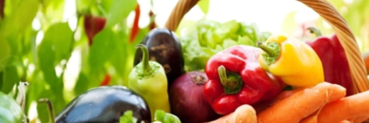 Diyete psikolojik yaklaşım