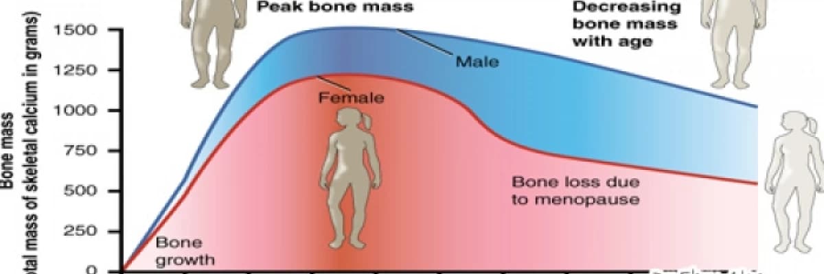 Menopozda hormon tedavisi