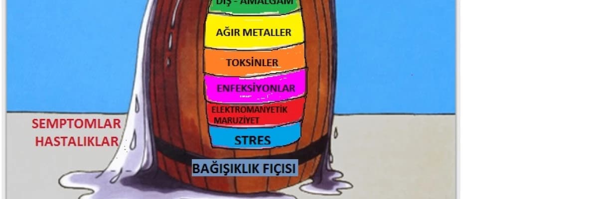 Neden hasta oluyoruz? Yoksa “bağışıklık fıçımız” mı doldu?