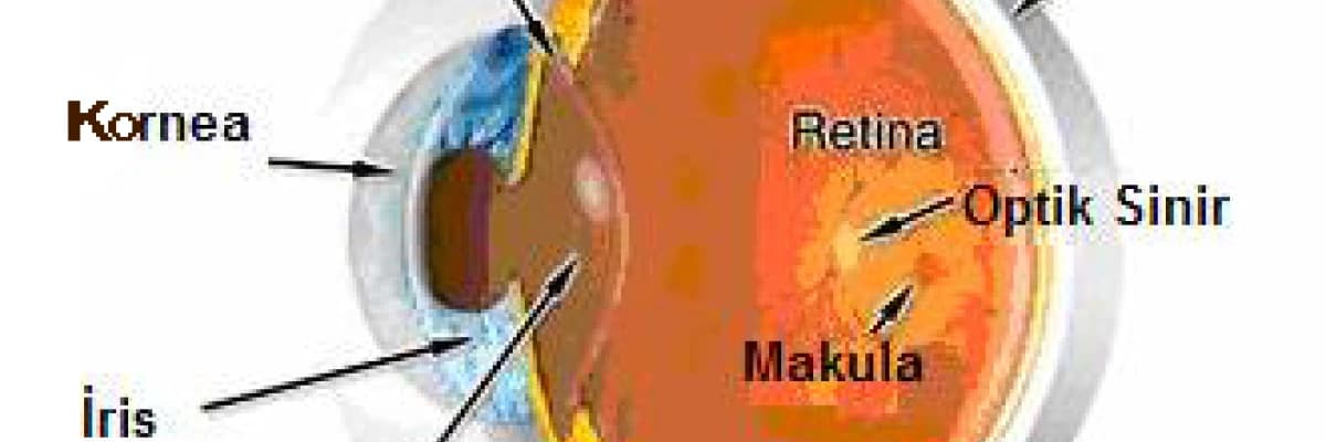 Kırma kusurları refraksiyon