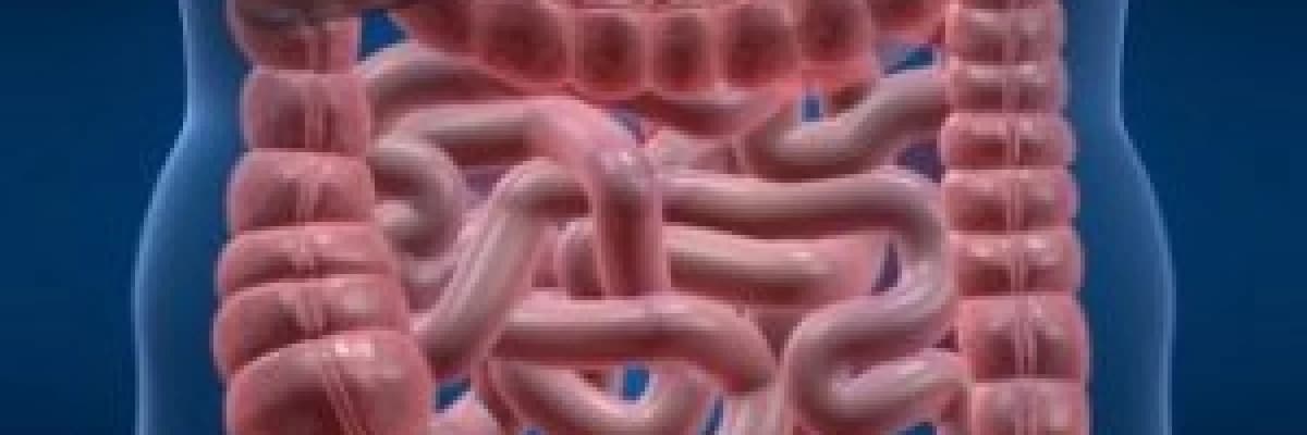 Riskli hastaların sindirim sistemindeki kanserlerin taranması