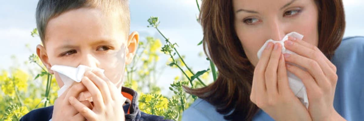 AKUPUNKTUR İLE ALERJİK RİNİT (NEZLE) TEDAVİSİ