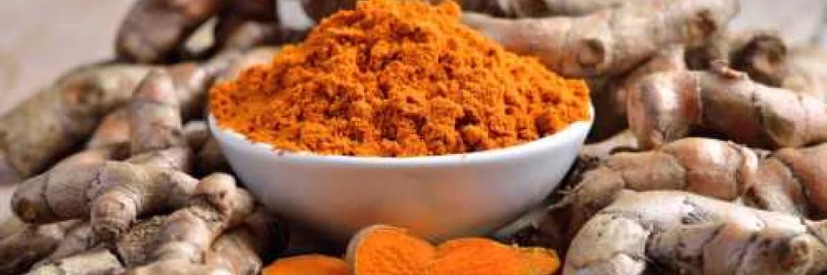 Zerdeçal (Kurkumin) ve Kanser