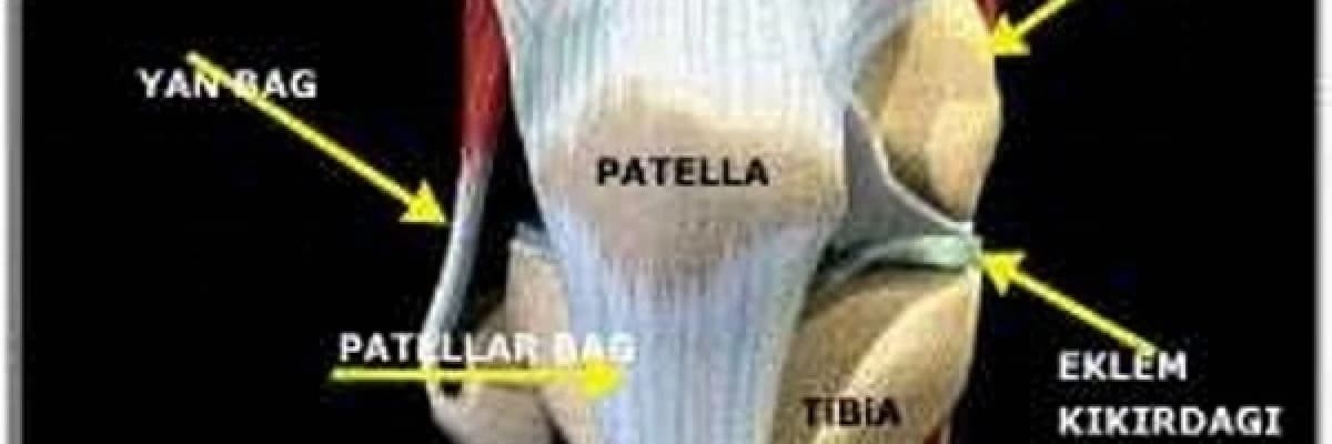 Kondromalazi patella