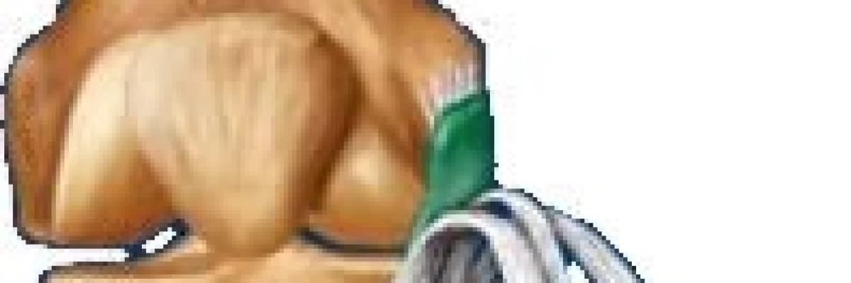 TENDİNİTLER VE BURSİTLER