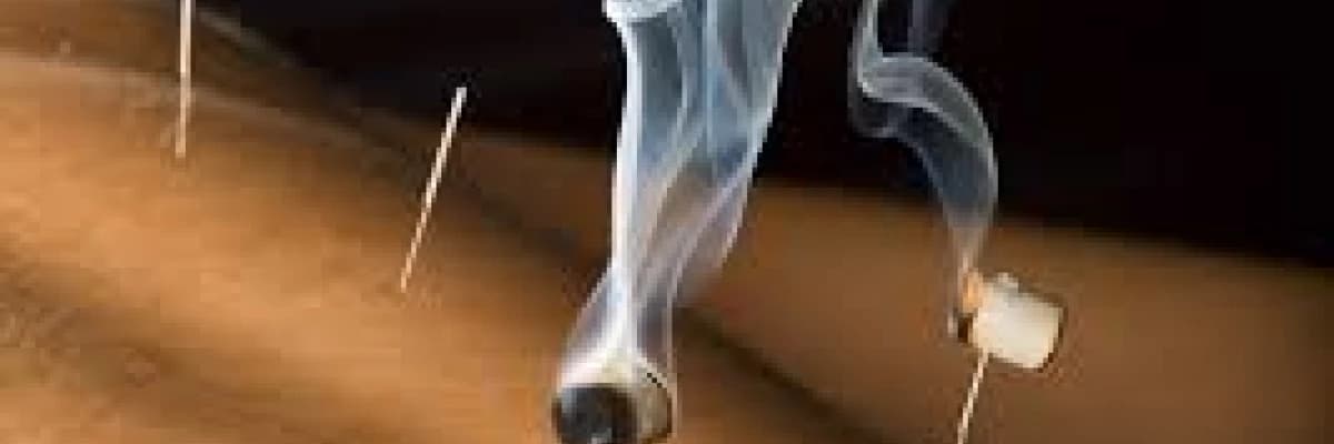 AKUPUNKTUR- MOXA - HOMEOPATi -BİTKİLER