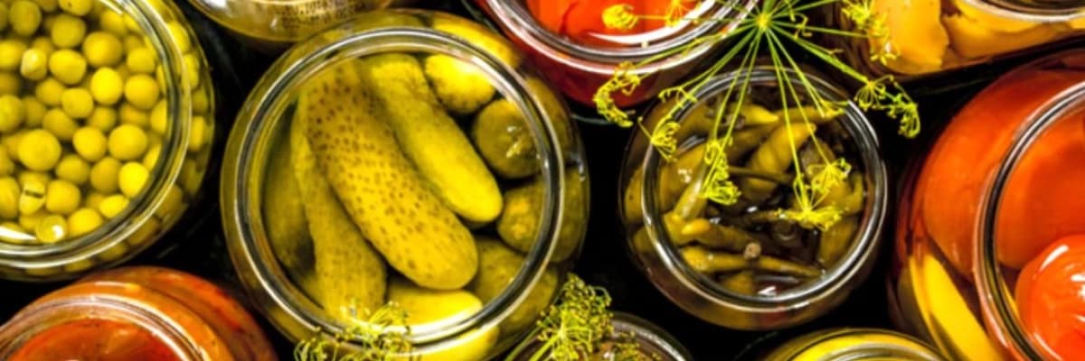 Turşu Probiyotik Midir?