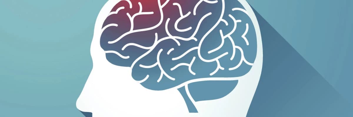 Beynimizin ömrü nasıl uzar?