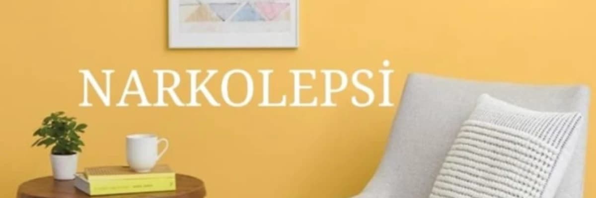 NARKOLEPSİ