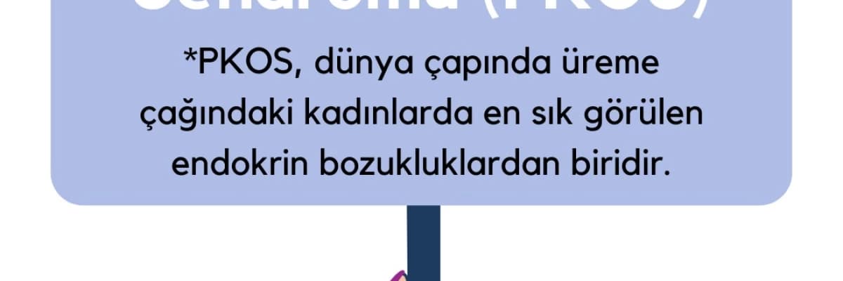 Polikistik Over Sendromu (PKOS) / Tanı ve Tedavi Yöntemleri
