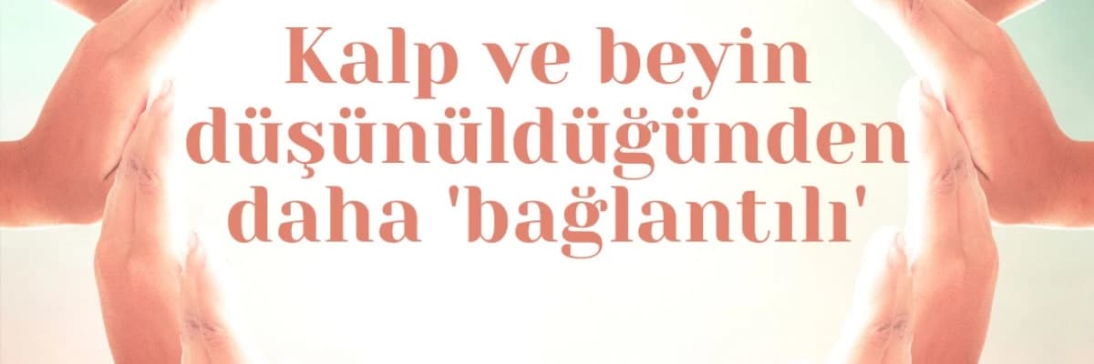 Kalp ve Beyin Arasındaki Bağlantı