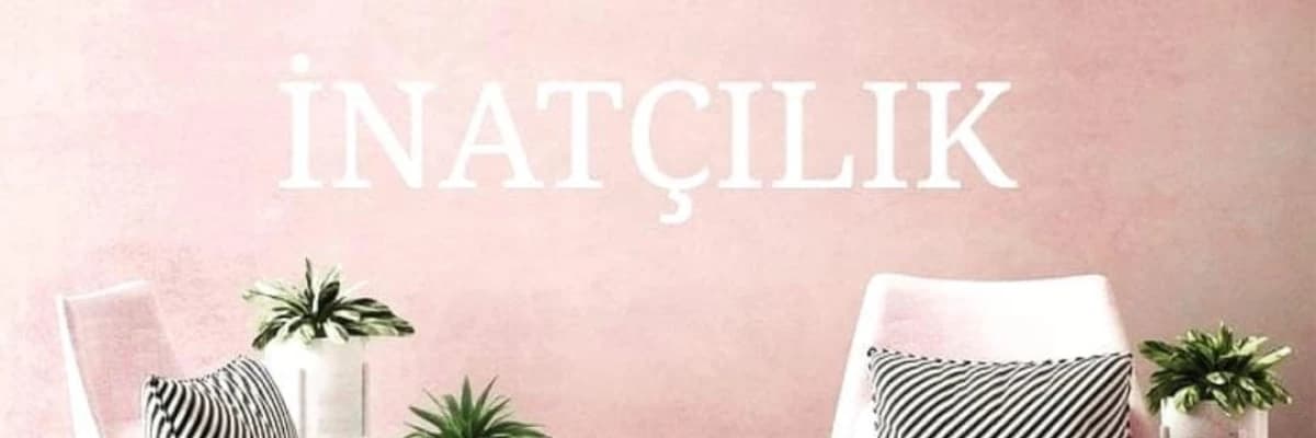 İNATÇILIK