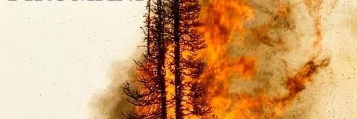 PİROMANİ (Yangın Çıkarma Hastalığı)