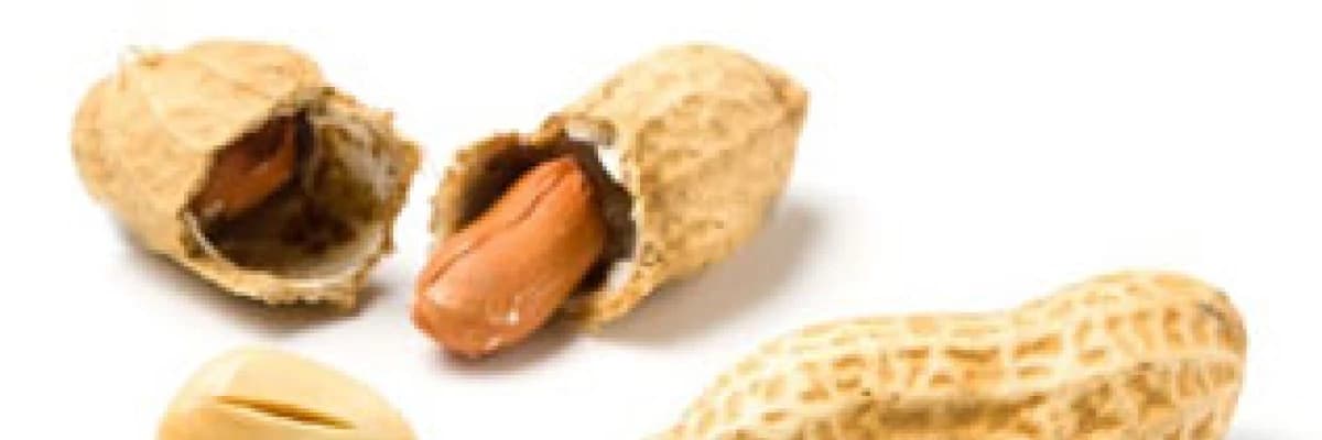 Besin alerjisi ve alerjiye neden olan besinler