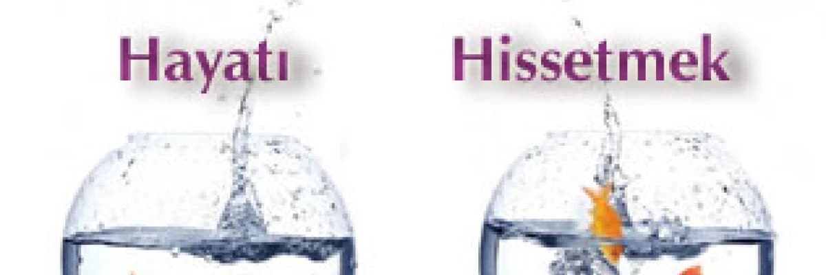 Hayatı hissetmek........