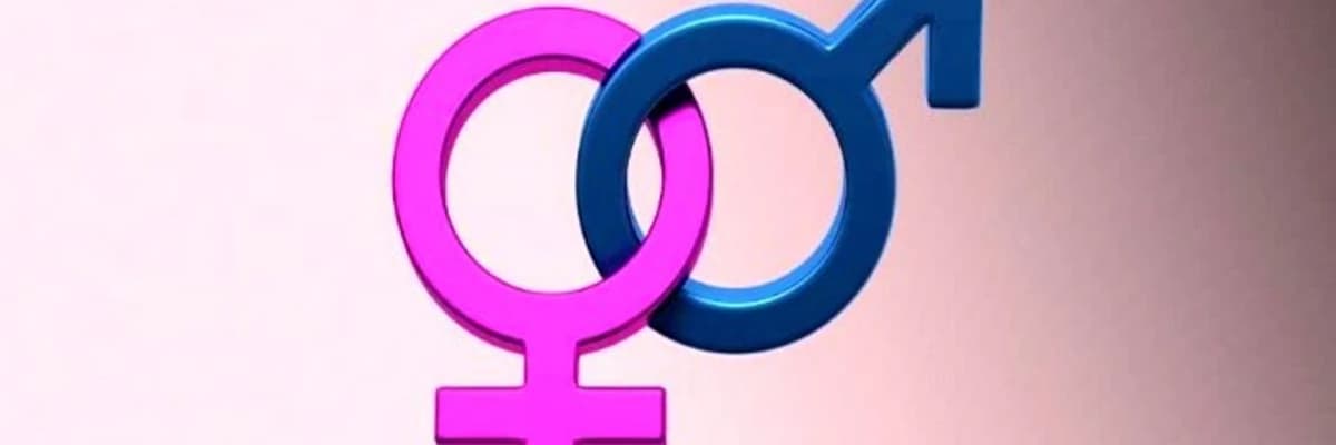 Kadın ve Erkeklerde Cinsel Süreçler