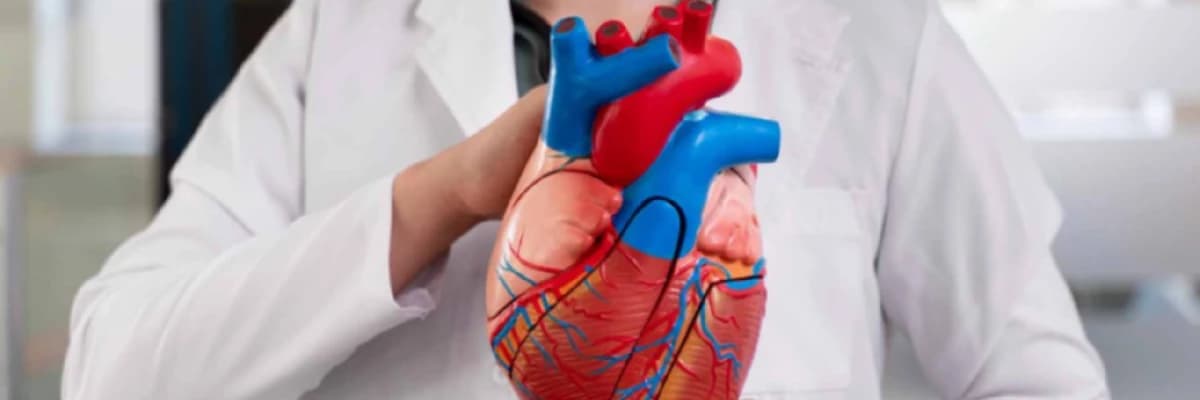Kalp Ameliyatı