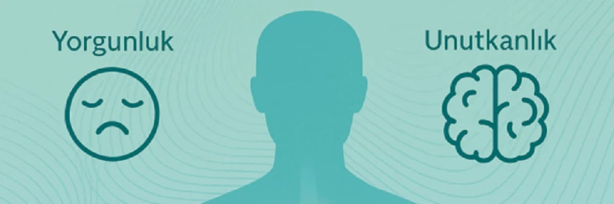 Yorgunluk, Unutkanlık, Halsizlik… Kronik Stres mi? Mitokondri Yetmezliği mi?
