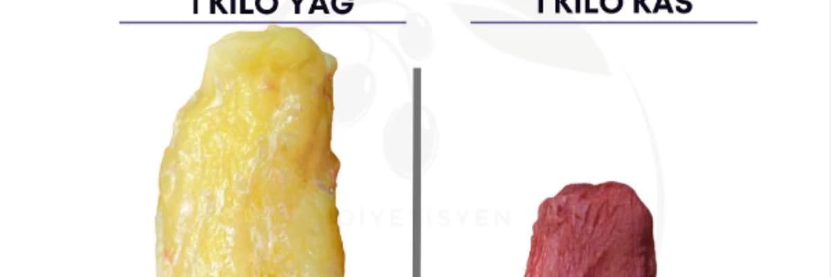 1 kilo yağ mı daha ağırdır 1 kilo kas mı ? :)