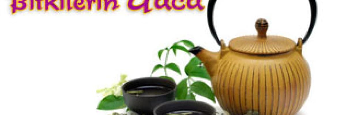 Fonksiyonel çaylar-bitkilerin gücü