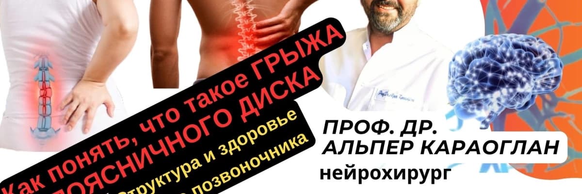 Как понять, что такое ГРЫЖА ПОЯСНИЧНОГО ДИСКА / Структура позвоночника