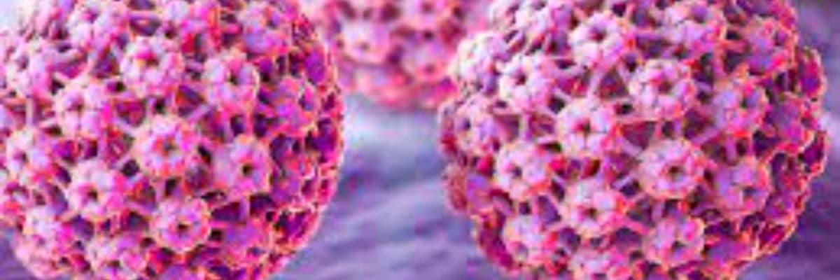Genital Siğilden Rahim Ağzı Kanserine HPV Enfeksiyonu