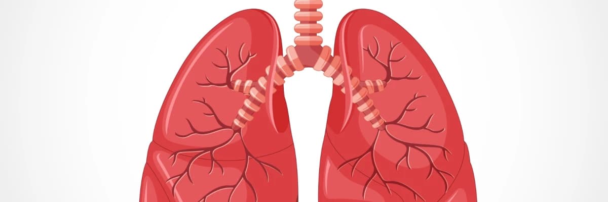 SİGARA İÇENLER AKCİĞER KANSERİNDE ERKEN TANI İÇİN YILDA BİR TOMOGRAFİ ÇEKTİRMELİ