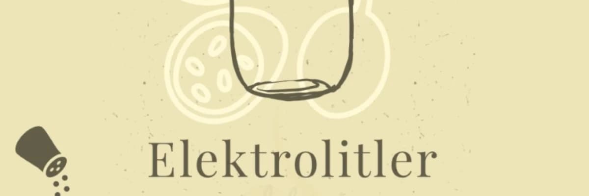 Elektrolitler 101