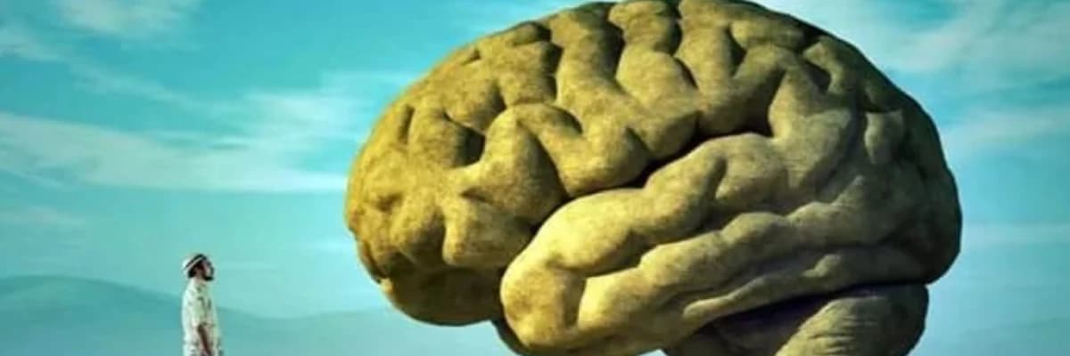 Duyguların Beyindeki Yolculuğu