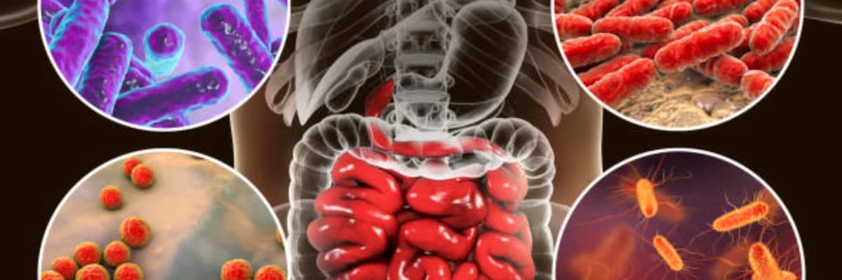 BAĞIRSAK MİKROBİYOTASI