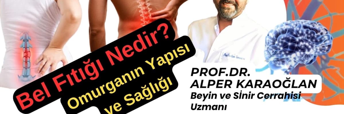 BEL FITIĞI Nedir? Nasıl Anlaşılır? Omurgamızın Yapısı ve Sağlığı
