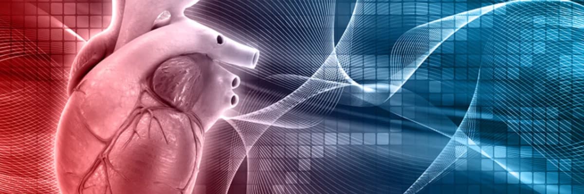 Kalp Krizi Nedir? Kalp Krizi Nasıl Gelişir?