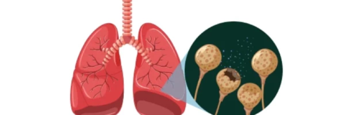Akciğerinizdeki Küçük Sır: Nodüller Hakkında Merak Ettikleriniz