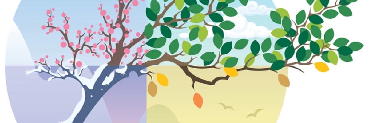 Bahar Geldiğinde mi Ben Böyle Olurum Yoksa Böyle Olduğumda mı Gelir Bahar?