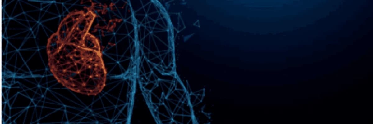 KARBONDİOKSİT ANJİYOGRAFİ