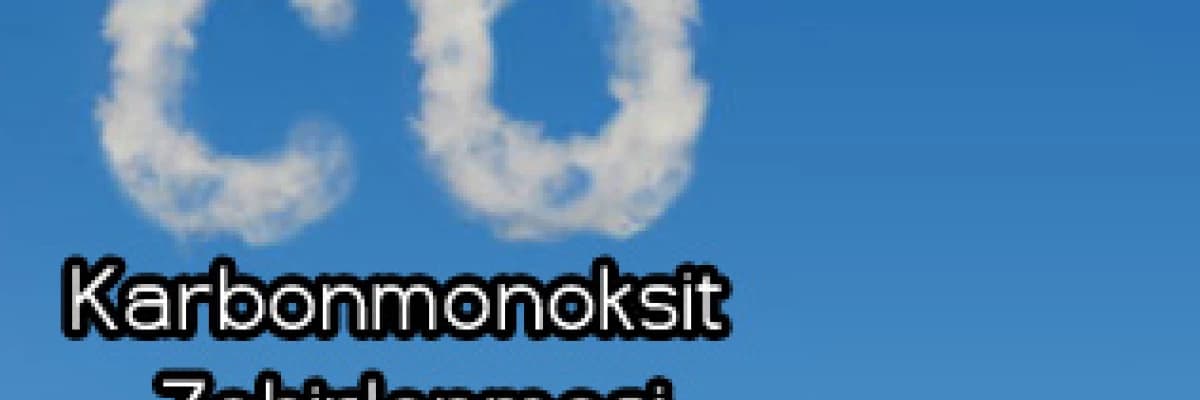 Karbonmonoksit Zehirlenmesi